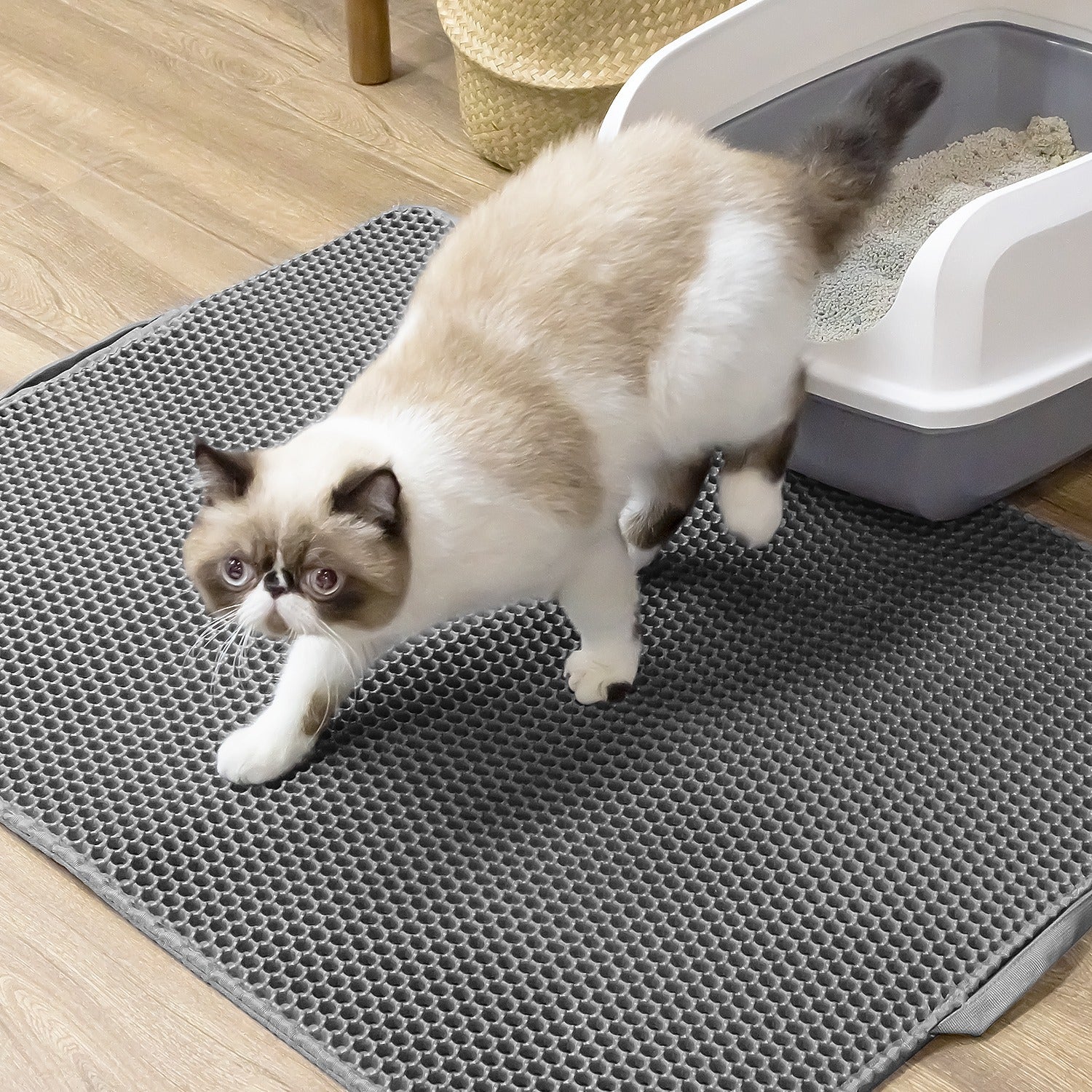 Waterproof Honeycomb Cat Litter Mat | Large 30"x24" Dual-Layer Litter Catcher with Anti-Slip Backing | Easy Clean Pet Floor Protector for Indoor Cats
