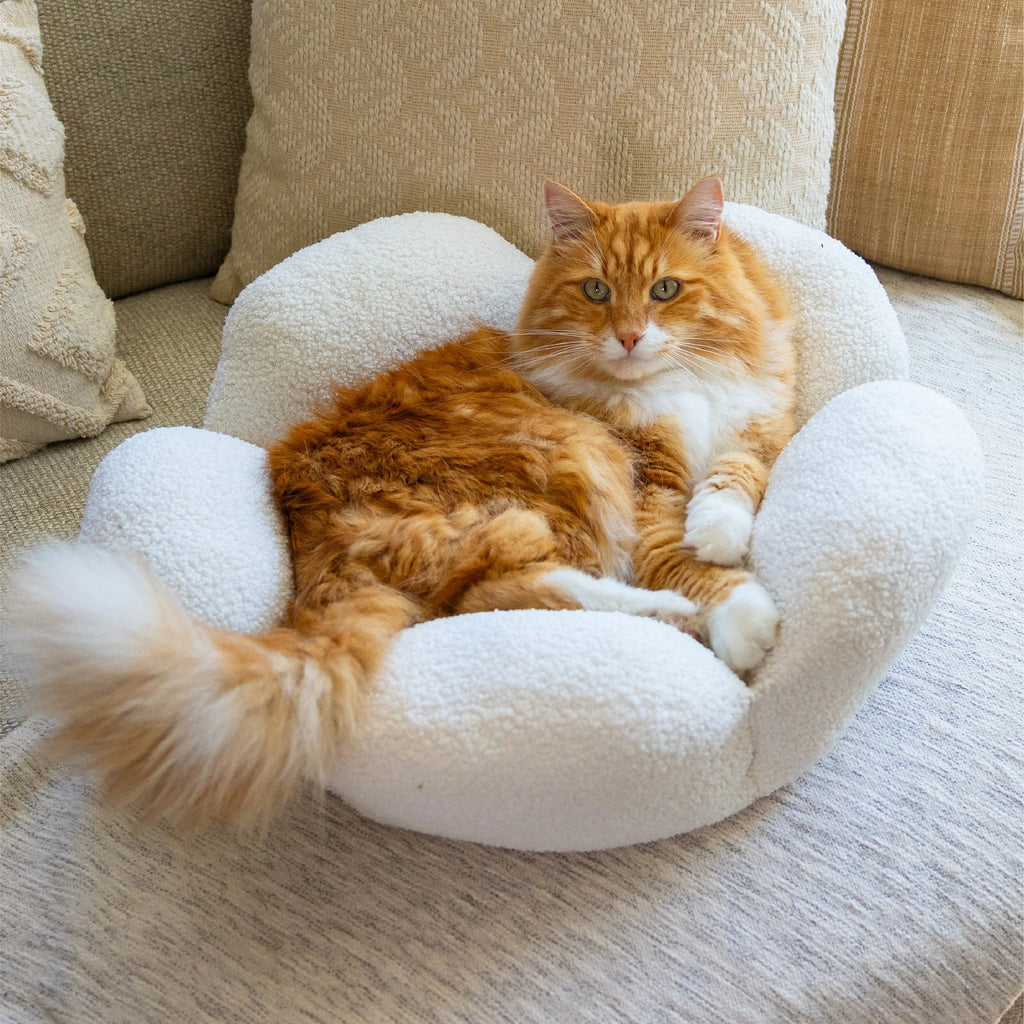 Flower-Shaped Plush Cat Bed with Raised Sides | Soft Cozy Indoor Nest for Cats and Kittens up to 20 lbs | Machine Washable Luxury Pet Cushion