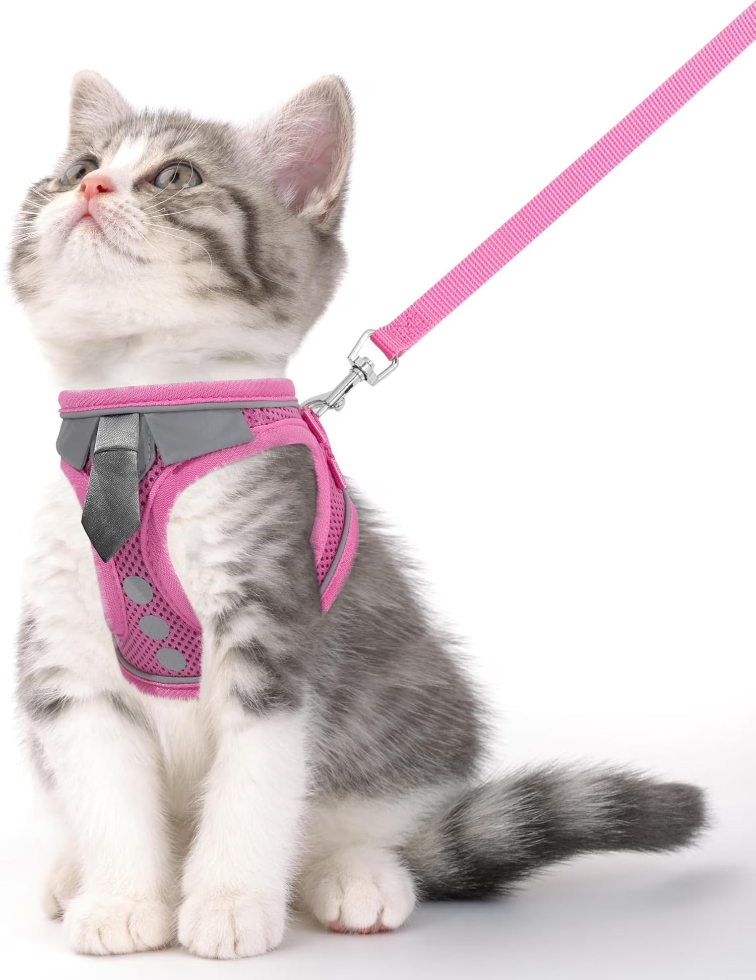 Escape Proof Harness and Leash Set for Cats and Small Pets | Adjustable Breathable Mesh Vest with Reflective Safety Strips | Secure Walking Harness for Kitten, Puppy, Bunny