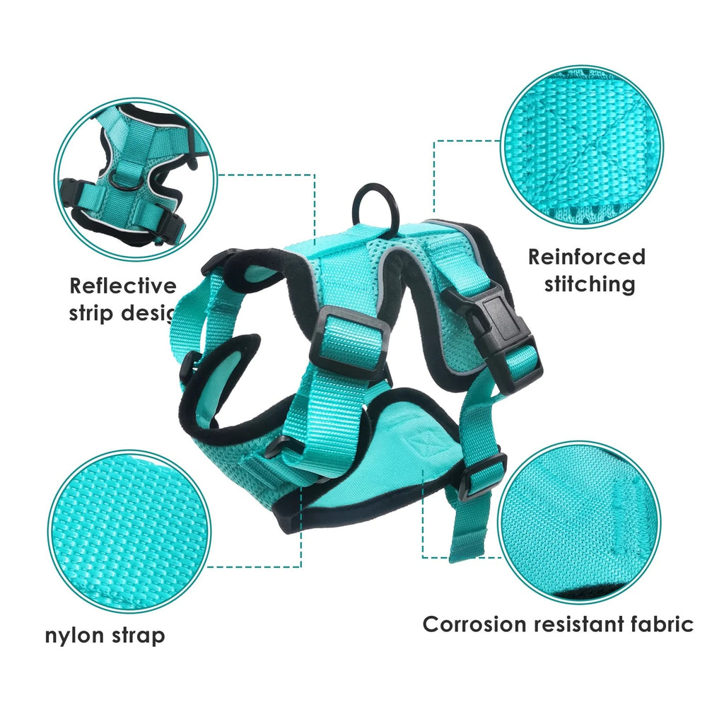 Escape Proof Cat Harness and Leash Set for Walking | Adjustable Breathable Mesh Vest with Reflective Safety Details | Secure Outdoor Jacket for Adult Cats