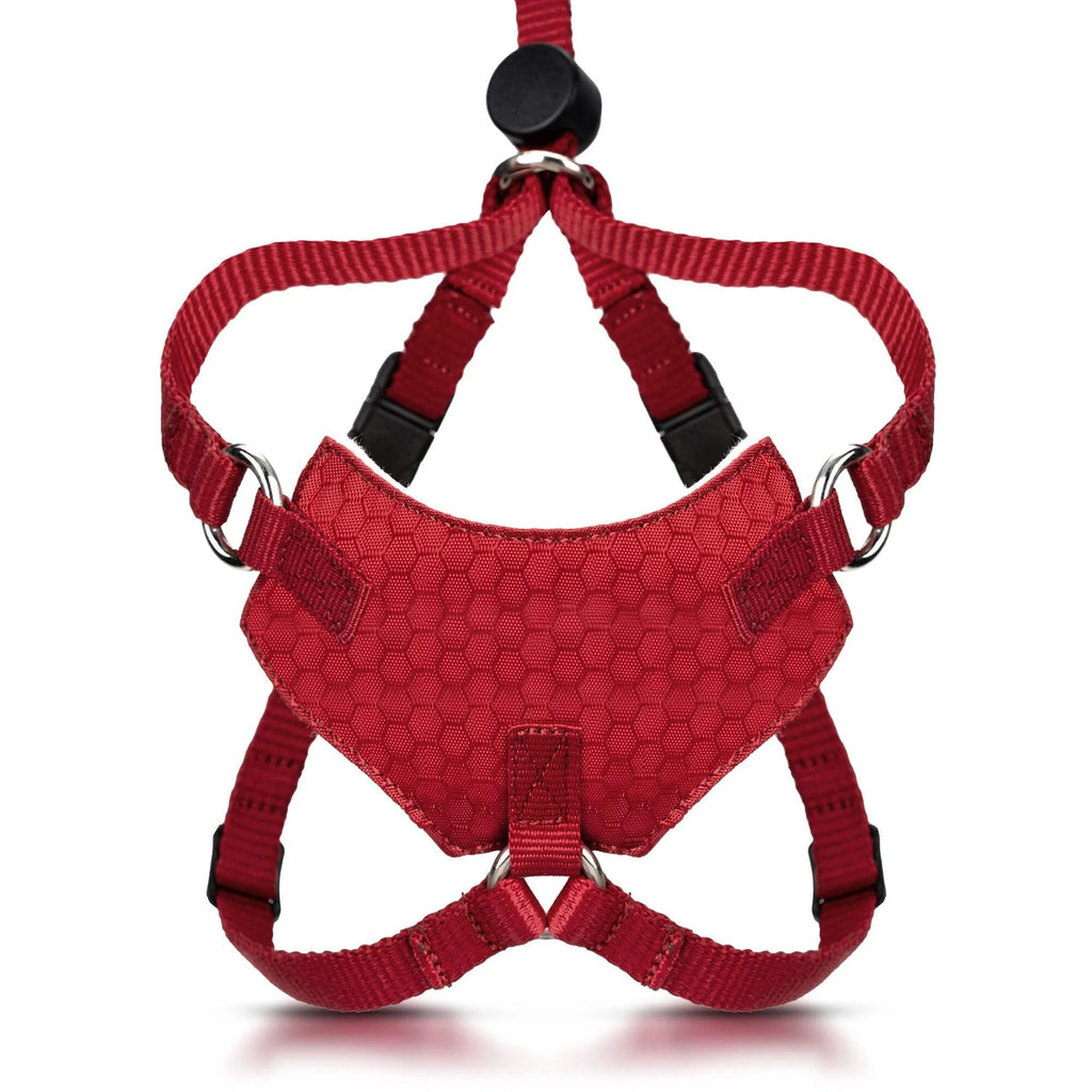 Escape Proof Cat Harness and Leash Set | Adjustable Lightweight Mesh Vest for Secure Walking and Outdoor Training | Comfortable Control Harness for Kittens and Adult Cats