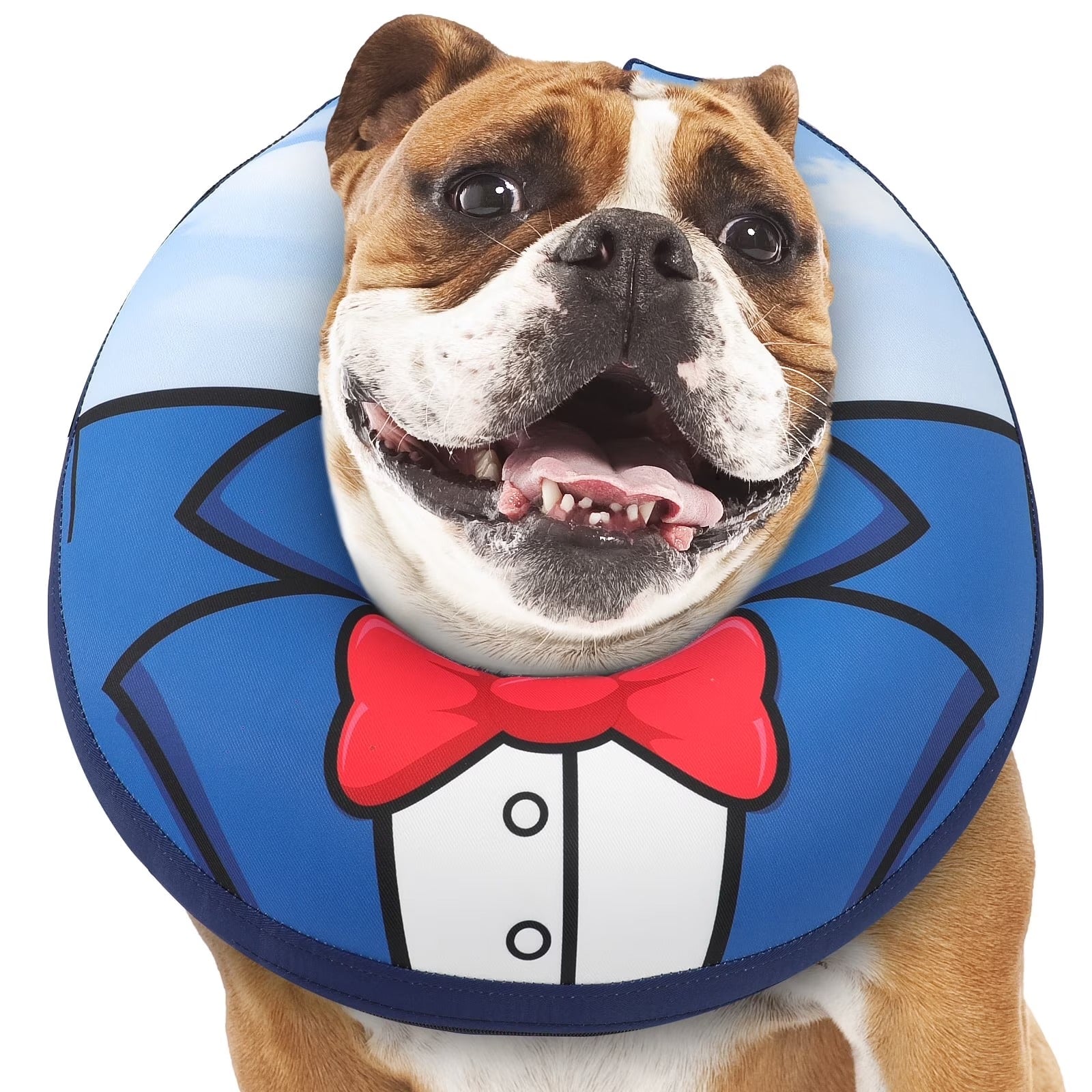 Inflatable Dog Recovery Collar, Comfortable Soft Pet Cone for Post-Surgery Healing, Vision-Friendly E-Collar Alternative