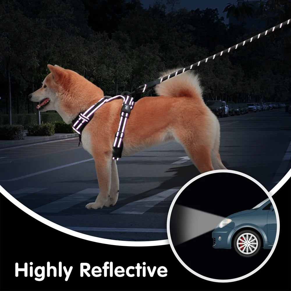 Reflective No-Pull Dog Harness and Leash Set, Adjustable Soft Padded Vest with Top Handle, Escape-Proof Walking Control for Small to Large Dogs