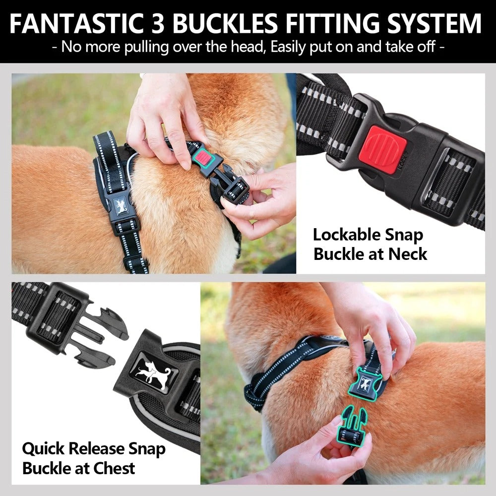 Reflective No-Pull Dog Harness and Leash Set, Adjustable Soft Padded Vest with Top Handle, Escape-Proof Walking Control for Small to Large Dogs