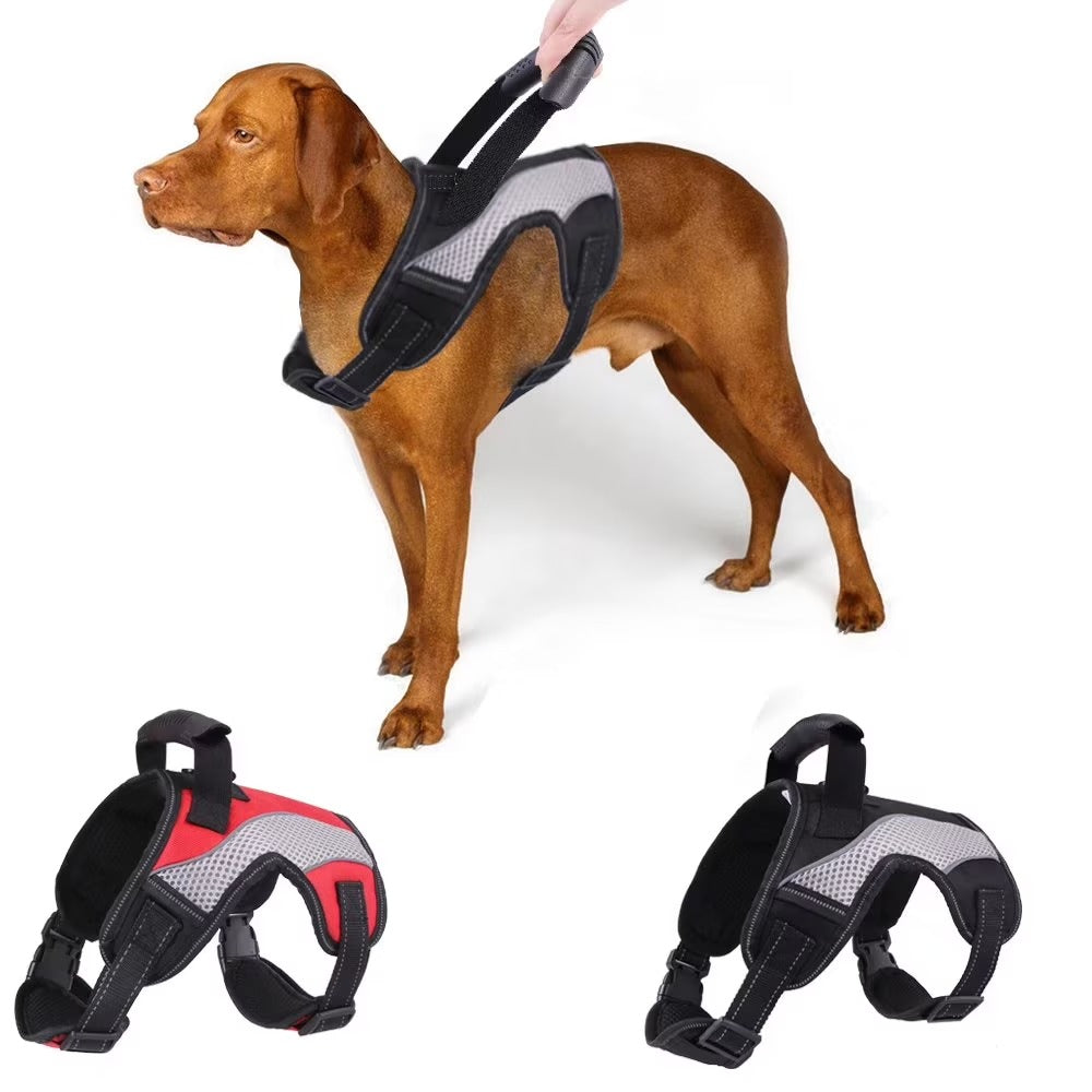 Adjustable No-Pull Dog Harness Vest, Soft Padded Walking Control Harness with Top Handle, Escape-Proof Chest-Leash Design for Small to Large Dogs