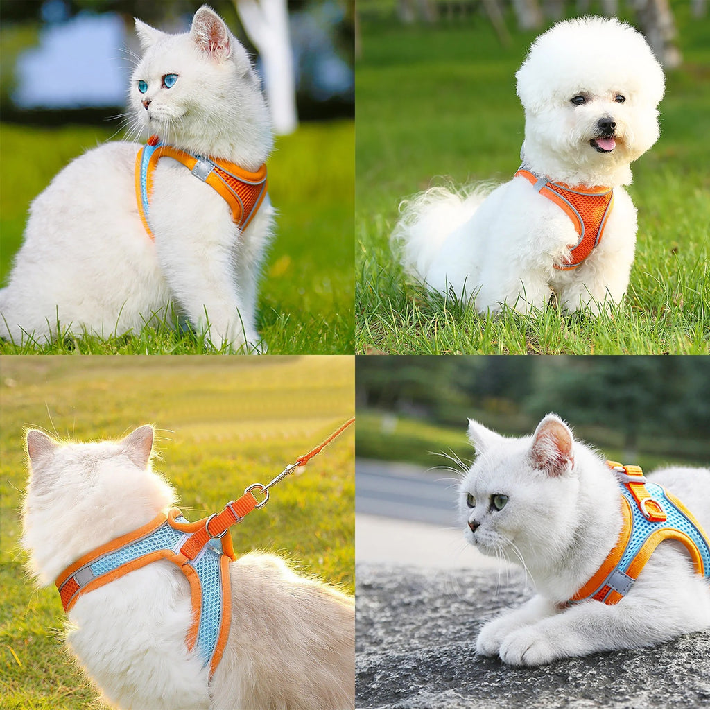 Adjustable No-Pull Dog and Cat Harness with Leash, Soft Padded Small Pet Harness for Puppies and Cats, Reflective Safety Straps for Secure Outdoor Walks