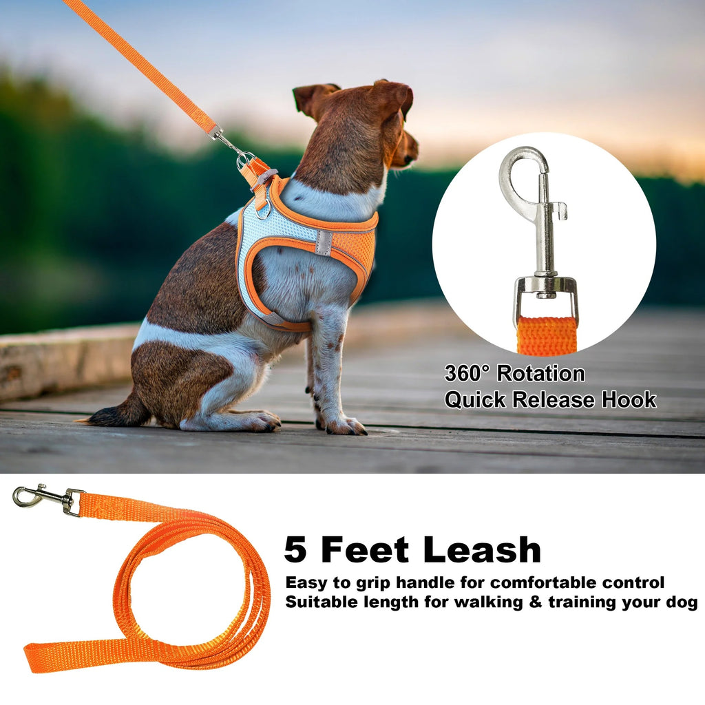 Adjustable No-Pull Dog and Cat Harness with Leash, Soft Padded Small Pet Harness for Puppies and Cats, Reflective Safety Straps for Secure Outdoor Walks