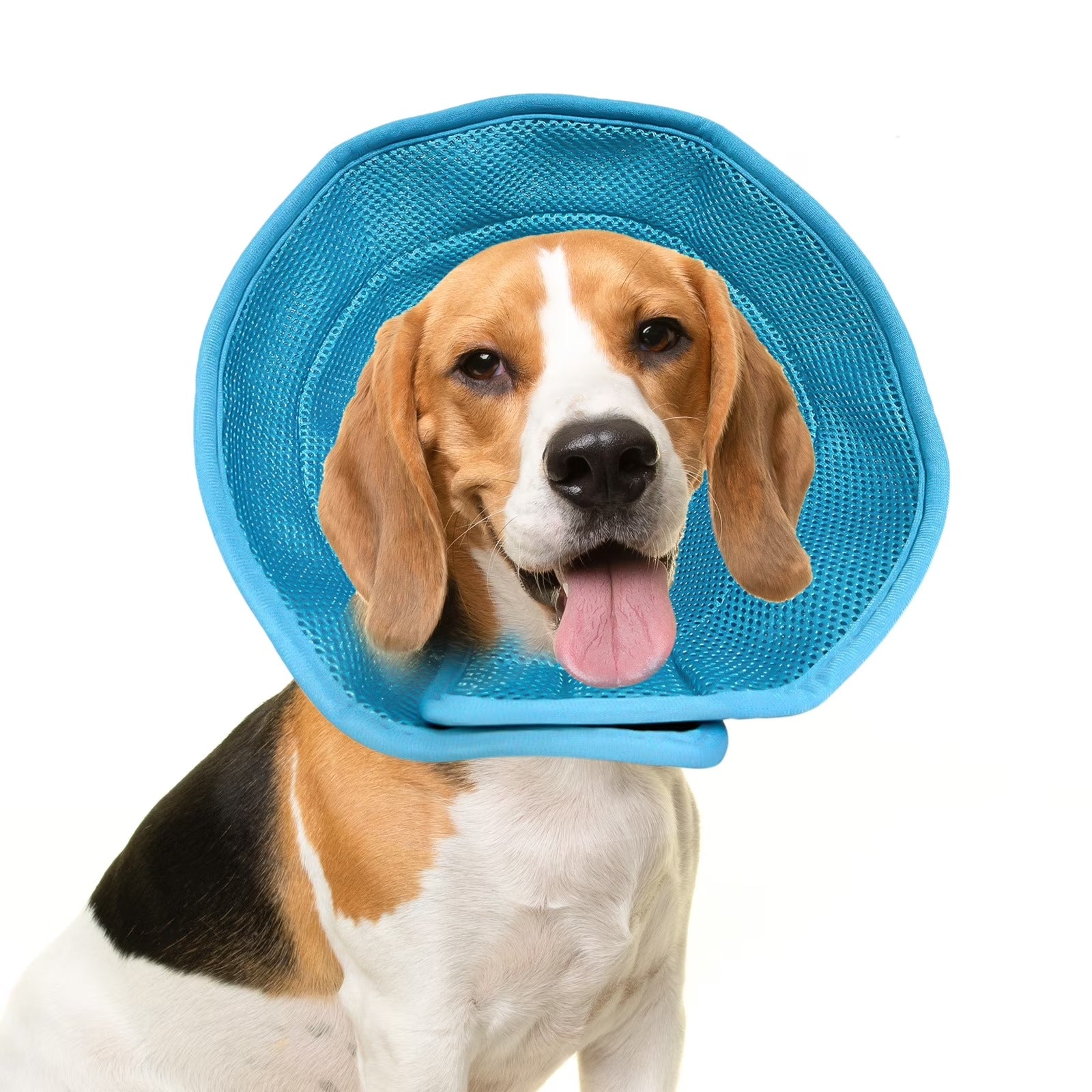Soft Dog Recovery Cone for Large Dogs and Cats, Adjustable Pet Surgery Cone Collar, Comfortable E-Collar Prevents Licking, Scratching and Biting Wounds Post-Operation