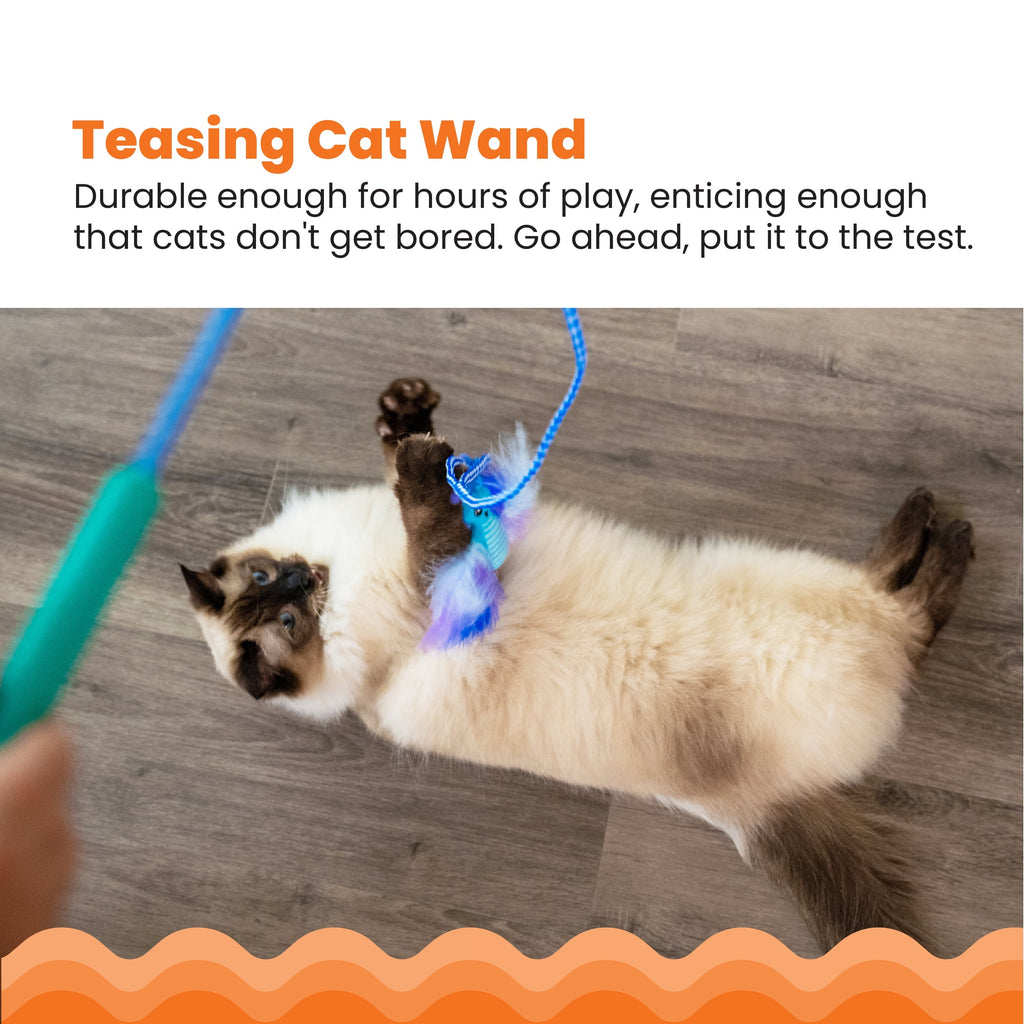 Interactive Cat Tail Teaser Wand Toy for Indoor Cats – Feather and Catnip Toys with Crinkle Sounds, Durable Rope for Jumping, Pouncing and Play, Blue