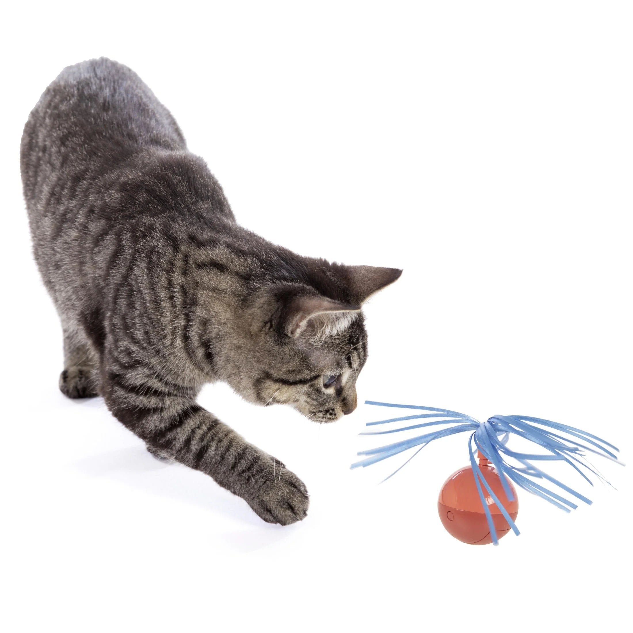 Interactive Spinning Ball with Ribbons | Electronic Motion Kitten Toy for Hunting, Stalking, and Exercise