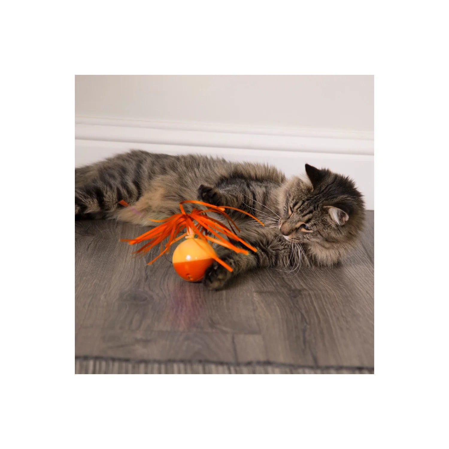 Interactive Spinning Ball with Ribbons | Electronic Motion Kitten Toy for Hunting, Stalking, and Exercise