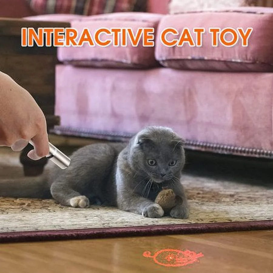 USB Rechargeable Laser Cat Toy | Interactive Light Pointer for Chasing and Play